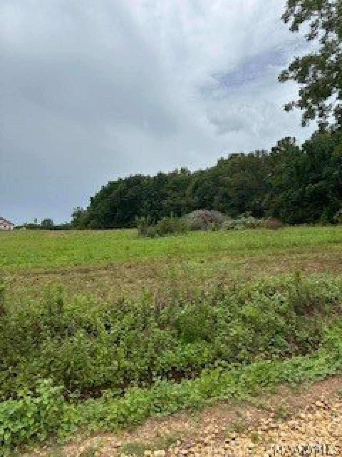 Picture of Residential Land For Sale in New Brockton, Alabama, United States