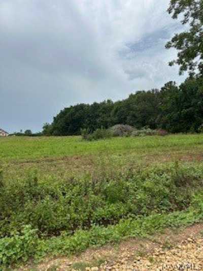 Residential Land For Sale in New Brockton, Alabama