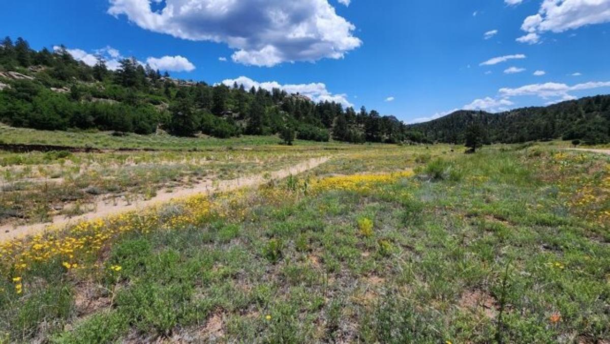 Picture of Residential Land For Sale in Cotopaxi, Colorado, United States