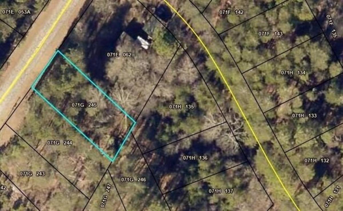 Picture of Residential Land For Rent in Martin, Georgia, United States