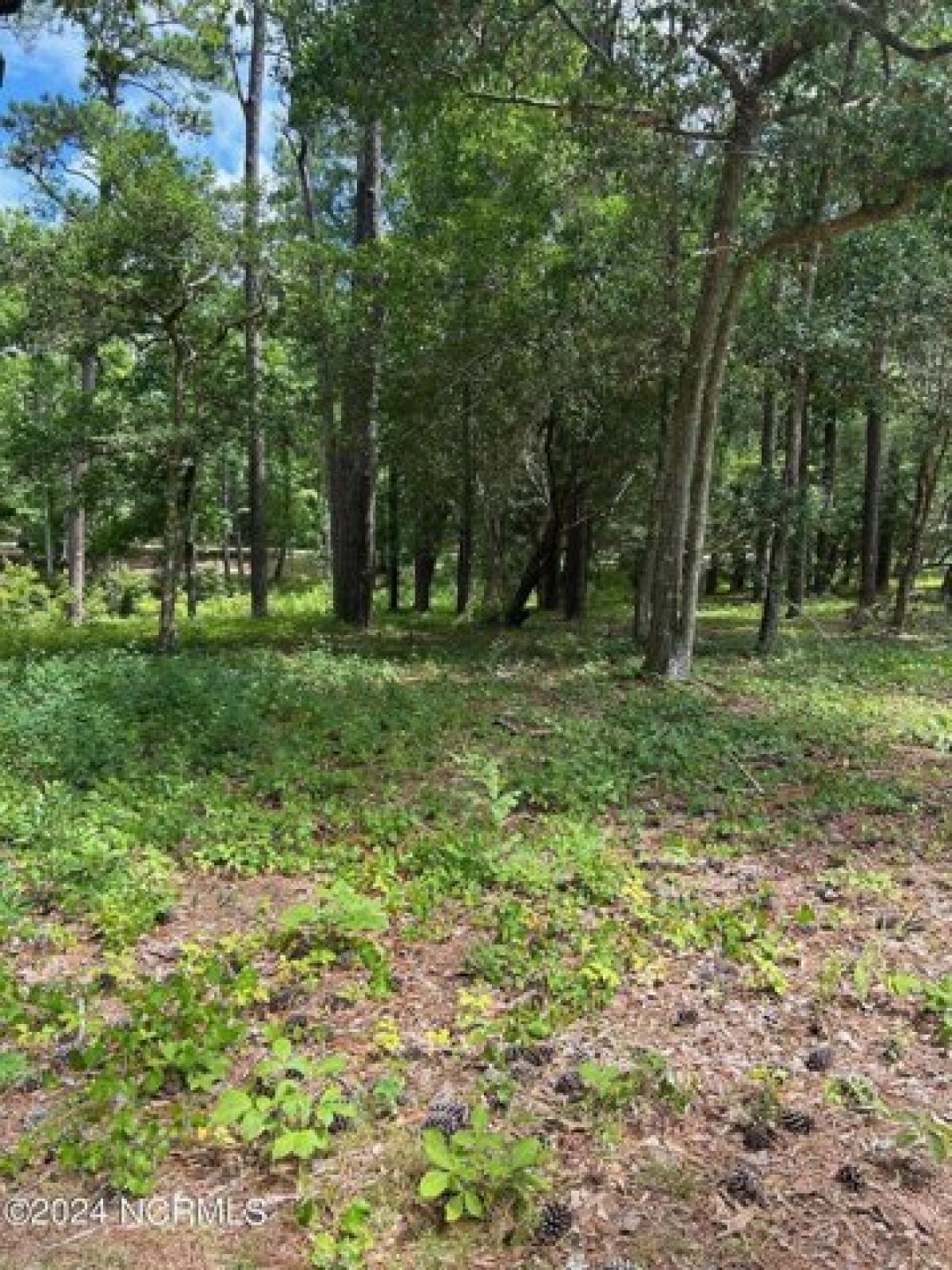 Picture of Residential Land For Sale in Bolivia, North Carolina, United States