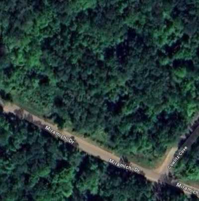 Residential Land For Sale in Evart, Michigan