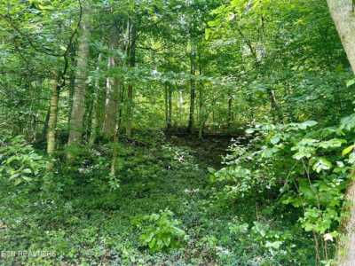 Residential Land For Sale in Sneedville, Tennessee