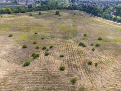 Residential Land For Sale in Watsonville, California