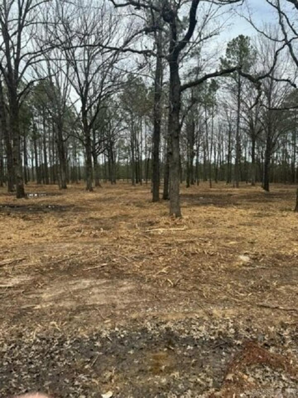 Picture of Residential Land For Sale in Taylor, Arkansas, United States