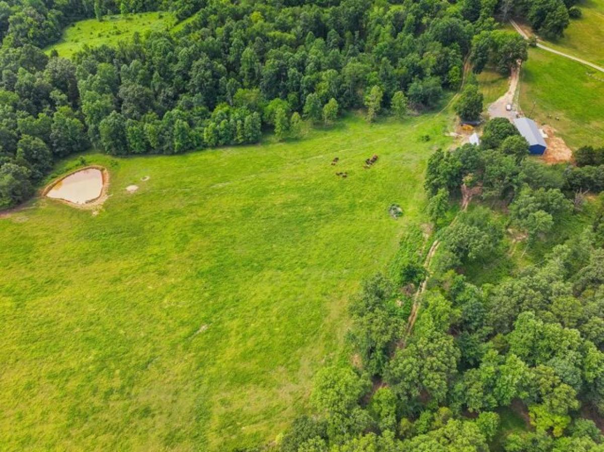 Picture of Home For Sale in Southside, Tennessee, United States