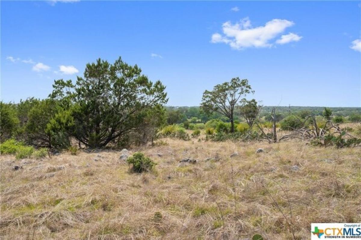 Picture of Residential Land For Sale in Johnson City, Texas, United States