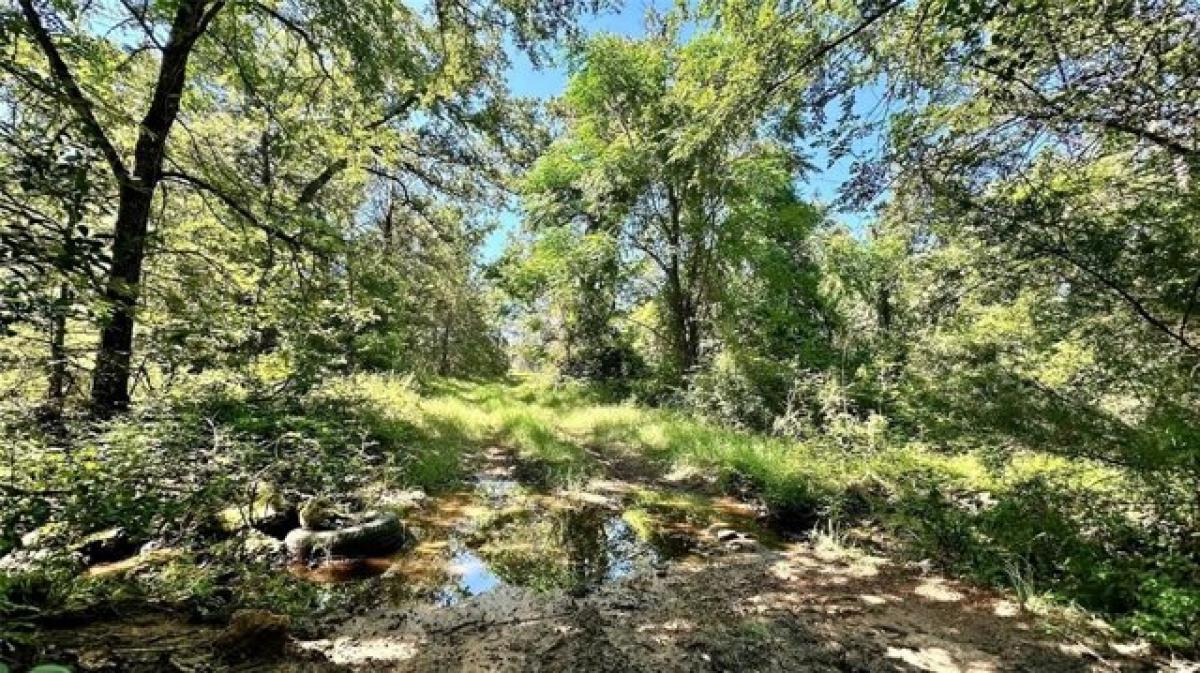 Picture of Residential Land For Sale in Gause, Texas, United States