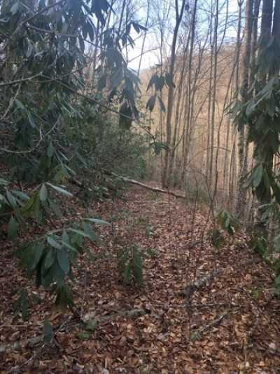 Residential Land For Sale in Whittier, North Carolina