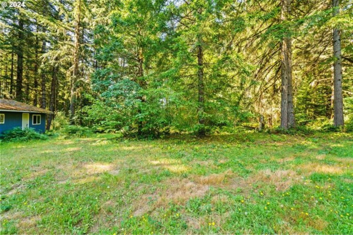 Picture of Home For Sale in Noti, Oregon, United States