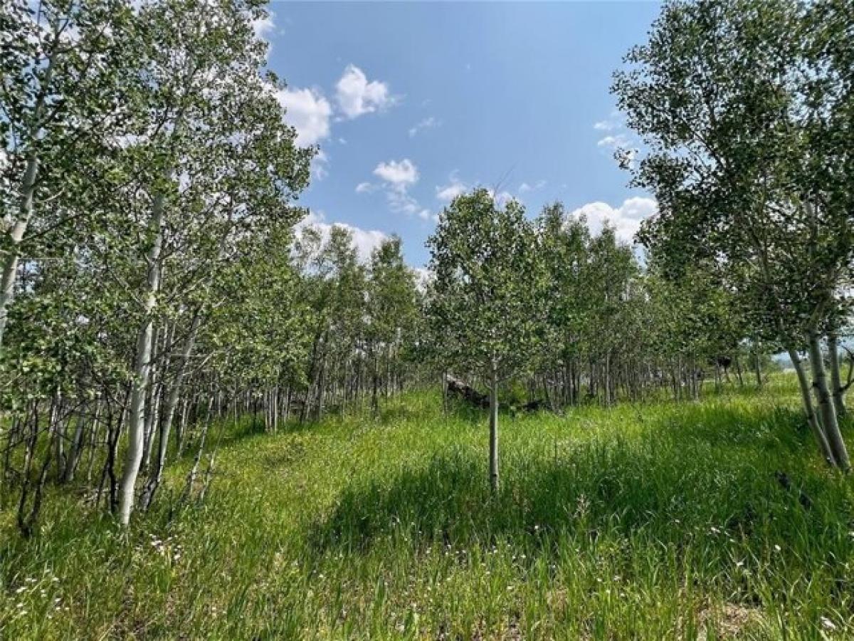 Picture of Residential Land For Sale in Oak Creek, Colorado, United States