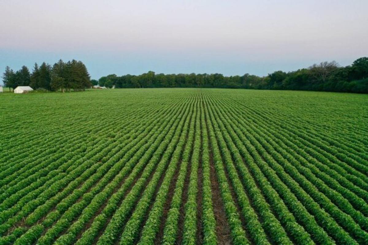 Picture of Home For Sale in Plainfield, Iowa, United States