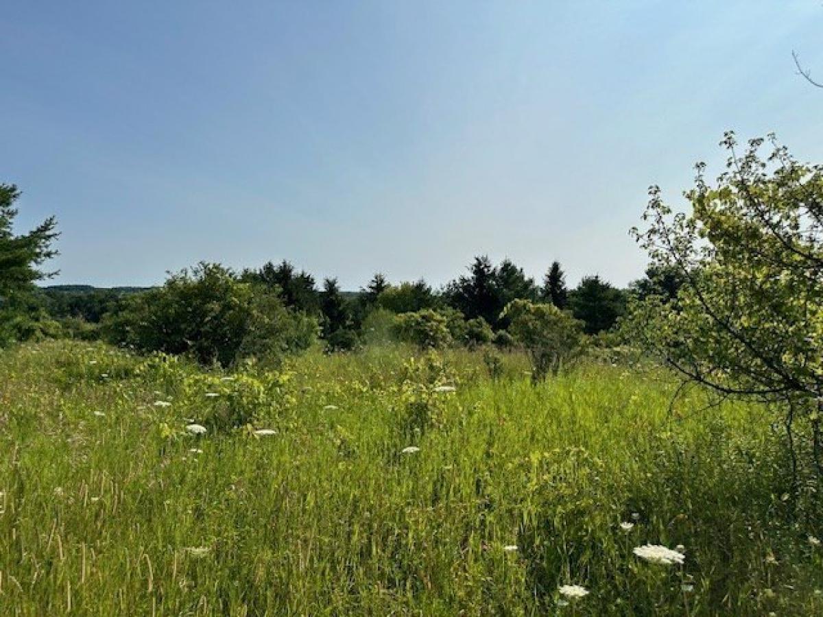 Picture of Residential Land For Sale in Sturgeon Bay, Wisconsin, United States