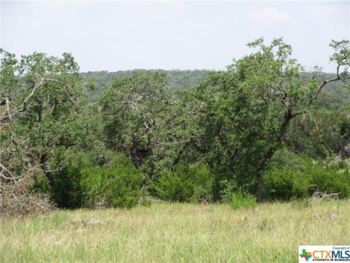 Picture of Residential Land For Sale in Wimberley, Texas, United States