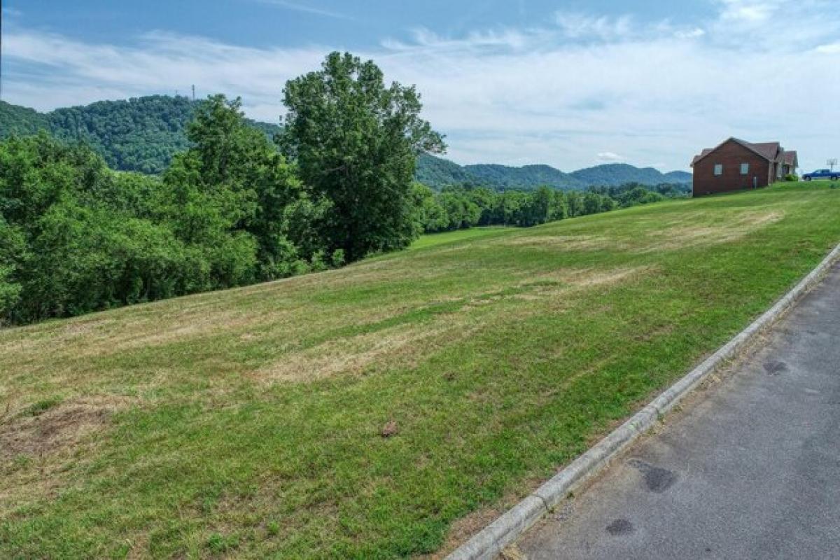 Picture of Residential Land For Sale in Rogersville, Tennessee, United States