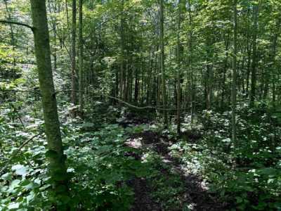 Residential Land For Sale in La Pointe, Wisconsin