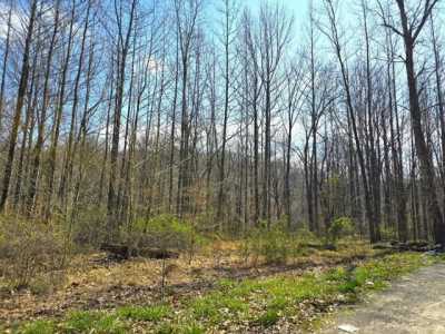 Residential Land For Sale in Essex, Missouri