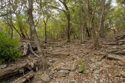 Residential Land For Sale in San Marcos, Texas