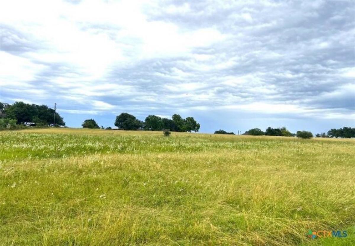 Picture of Residential Land For Sale in Shiner, Texas, United States