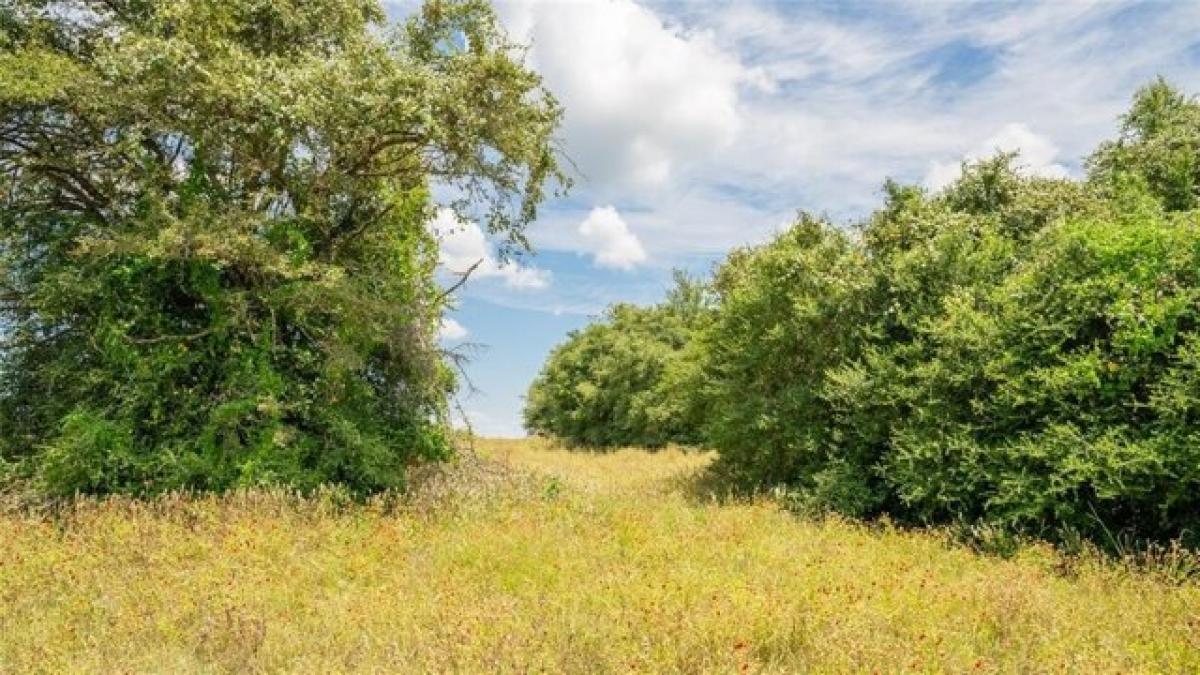 Picture of Residential Land For Sale in Milano, Texas, United States