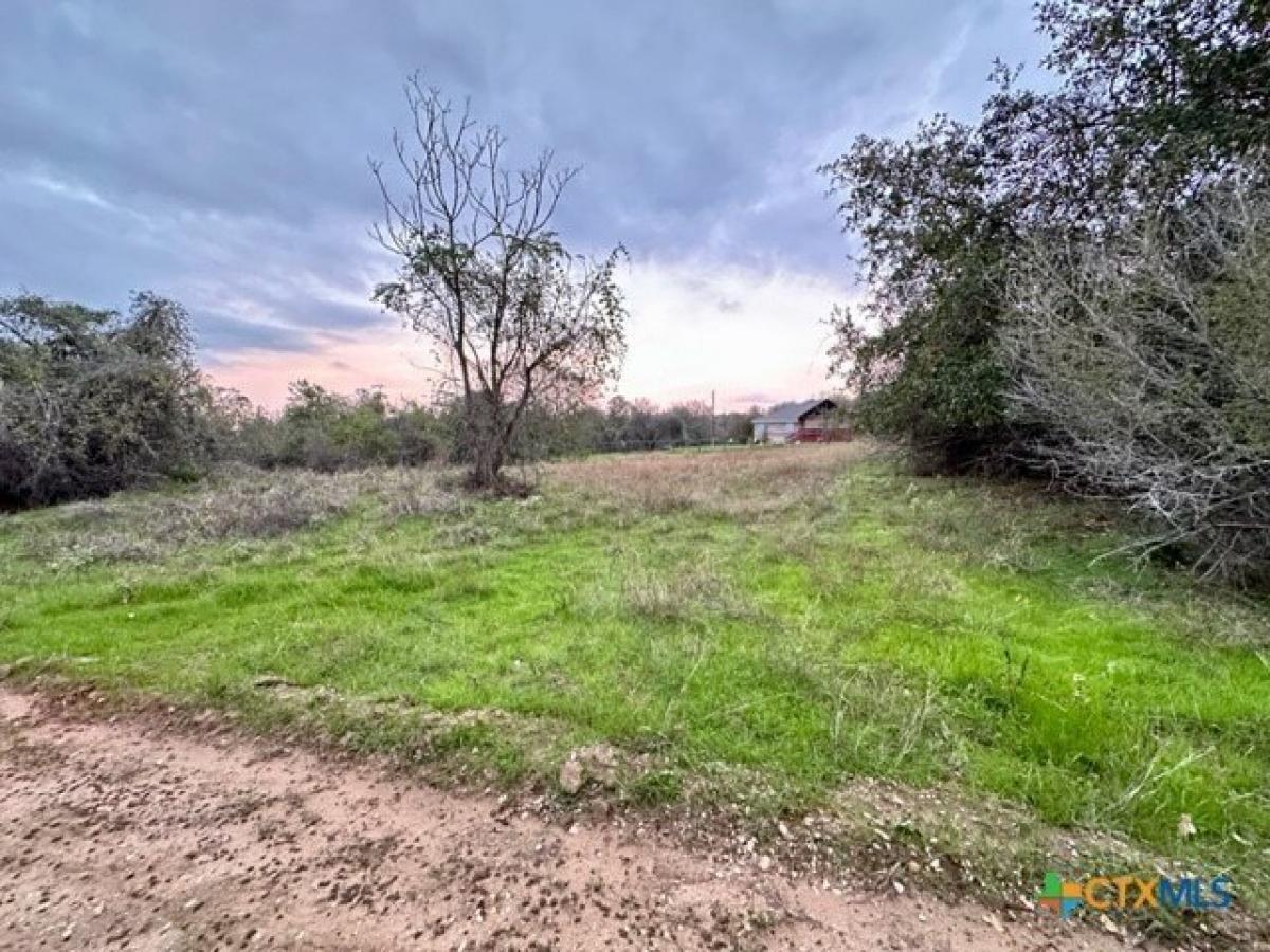 Picture of Residential Land For Sale in Bastrop, Texas, United States