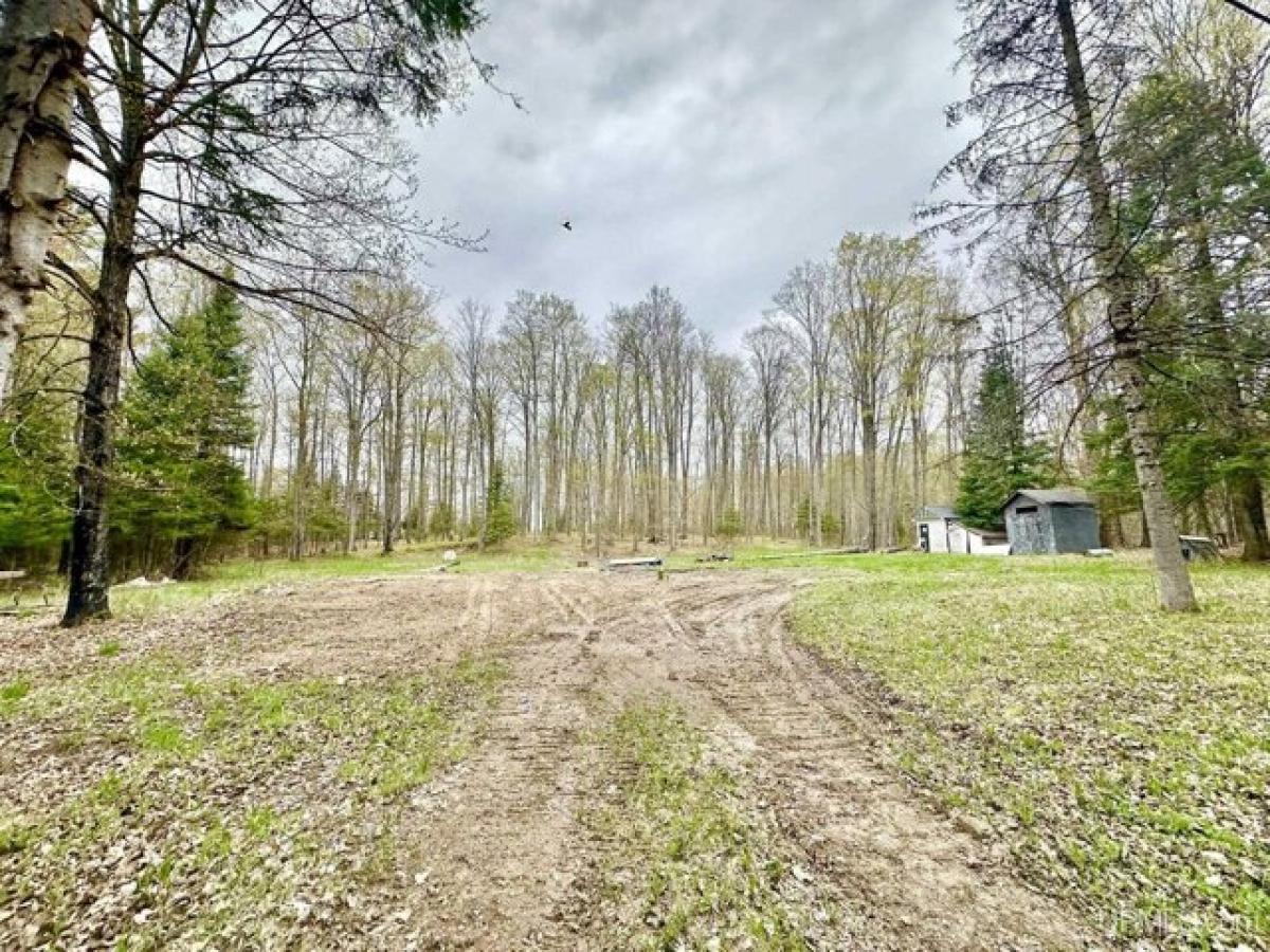 Picture of Residential Land For Sale in Channing, Michigan, United States