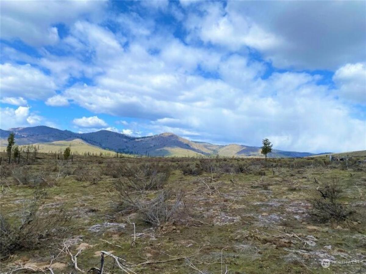 Picture of Residential Land For Sale in Methow, Washington, United States