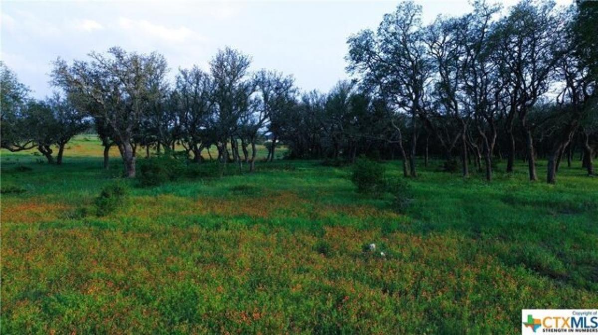 Picture of Residential Land For Sale in Lampasas, Texas, United States