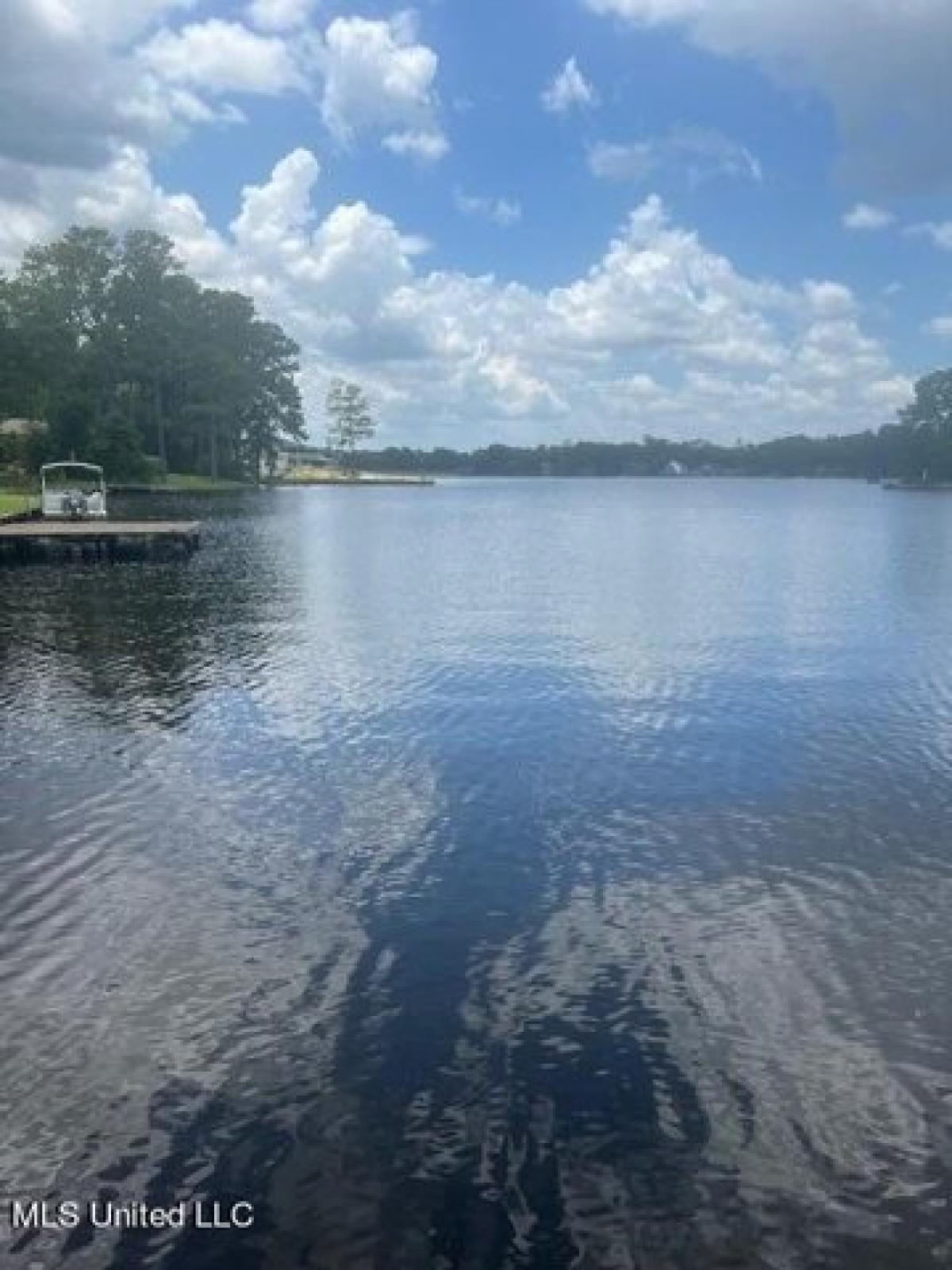 Picture of Residential Land For Sale in Carriere, Mississippi, United States