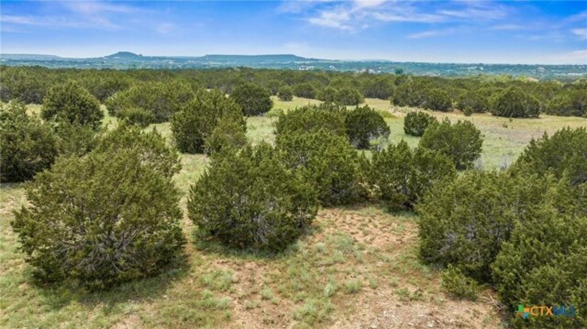 Picture of Residential Land For Sale in Copperas Cove, Texas, United States