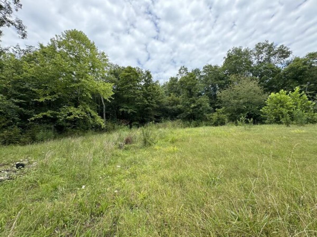 Picture of Residential Land For Sale in Poplar Bluff, Missouri, United States