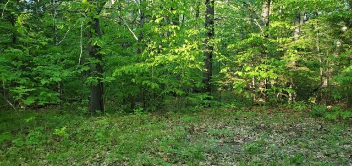 Picture of Residential Land For Sale in Jefferson, Maine, United States