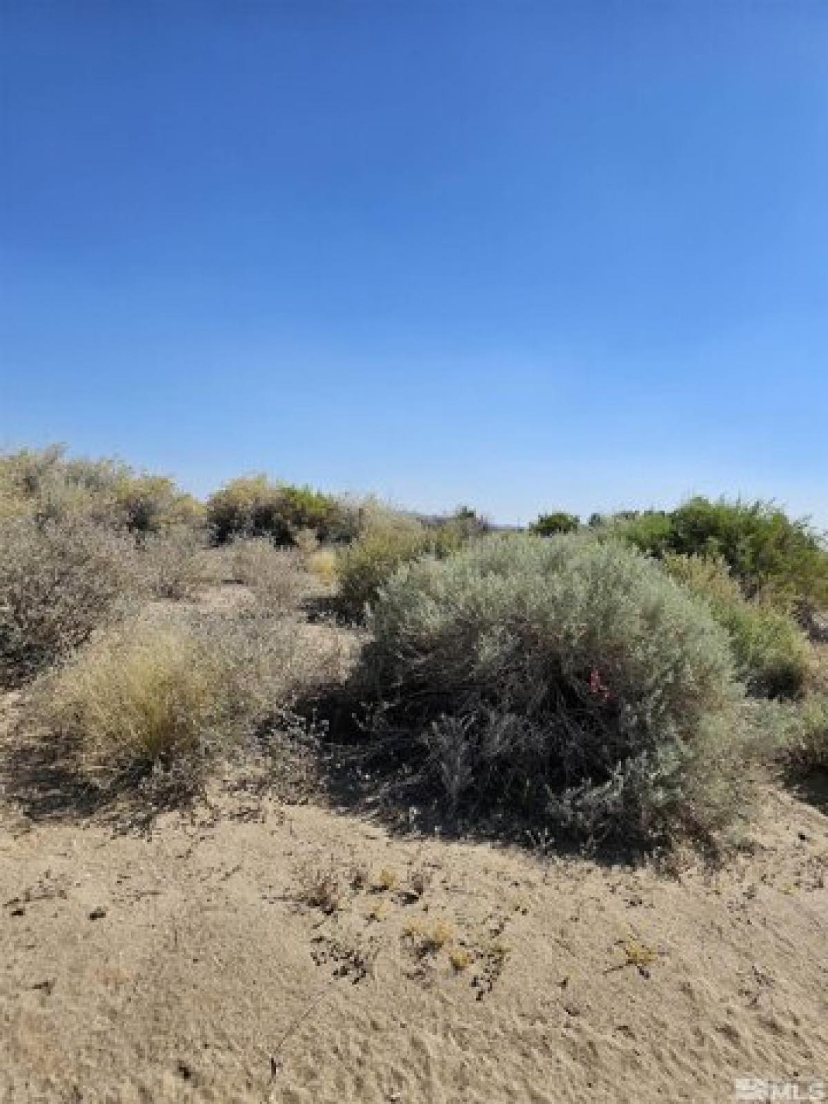 Picture of Residential Land For Sale in Fallon, Nevada, United States