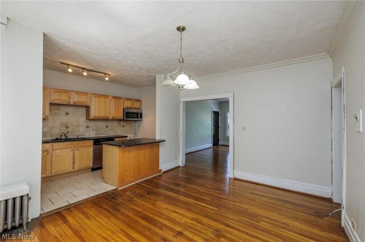 Picture of Apartment For Rent in Cleveland, Ohio, United States