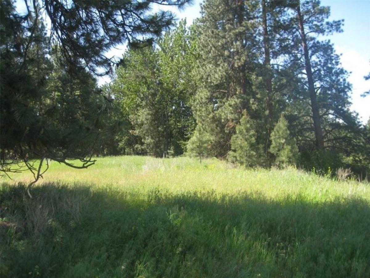 Picture of Residential Land For Sale in Stevensville, Montana, United States