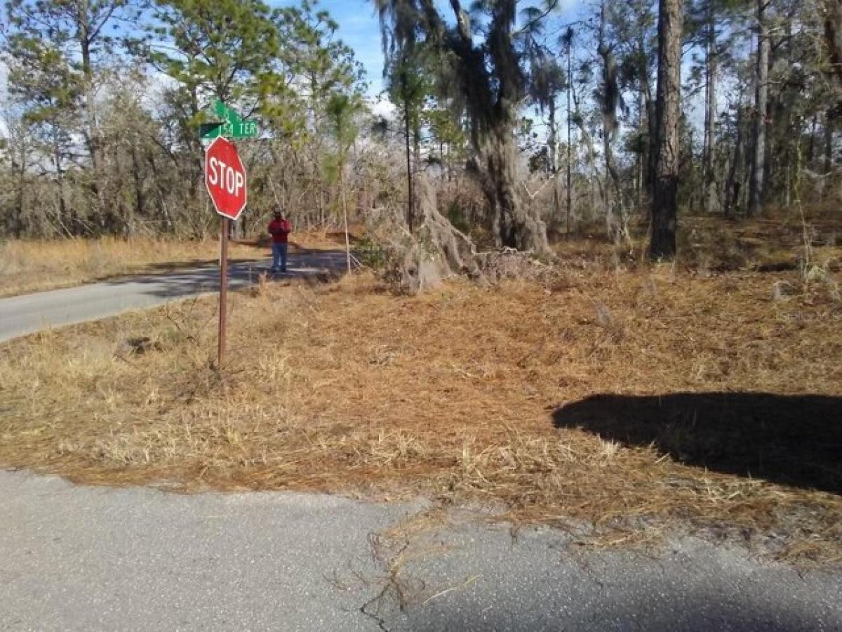 Picture of Residential Land For Sale in Williston, Florida, United States