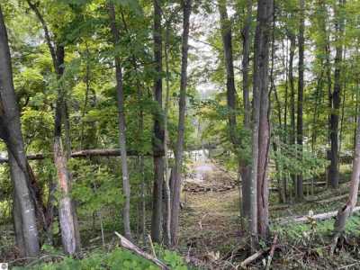 Residential Land For Sale in Bellaire, Michigan