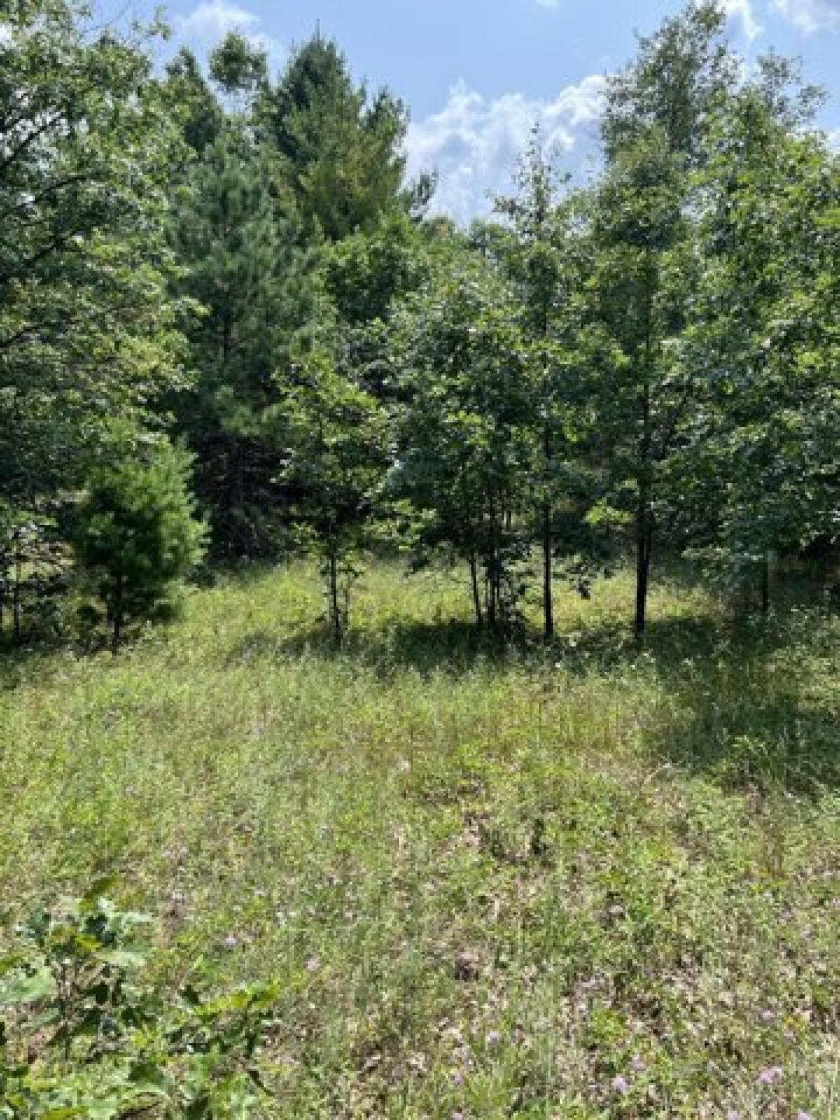 Picture of Residential Land For Sale in Newaygo, Michigan, United States