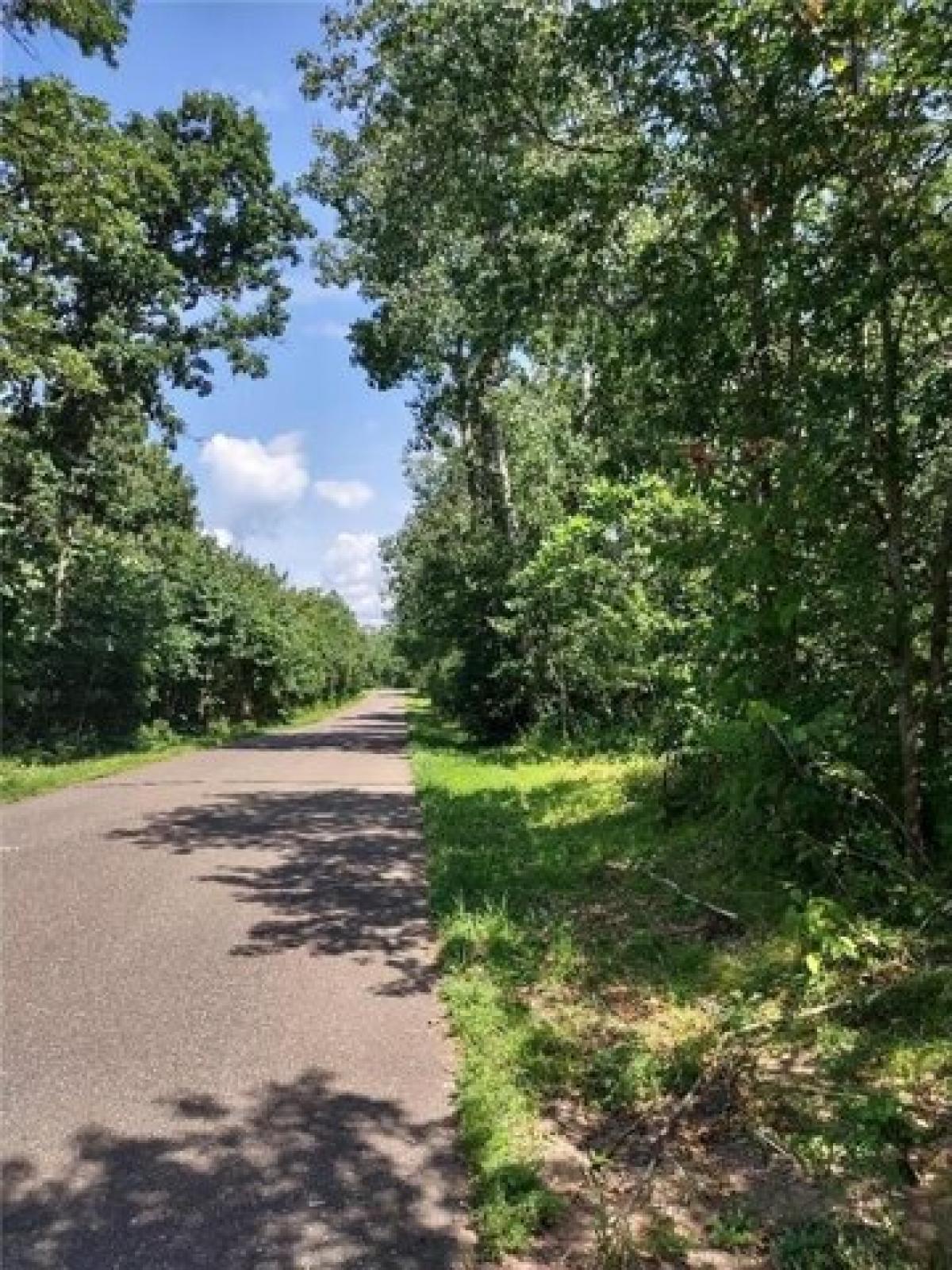 Picture of Residential Land For Sale in Danbury, Wisconsin, United States