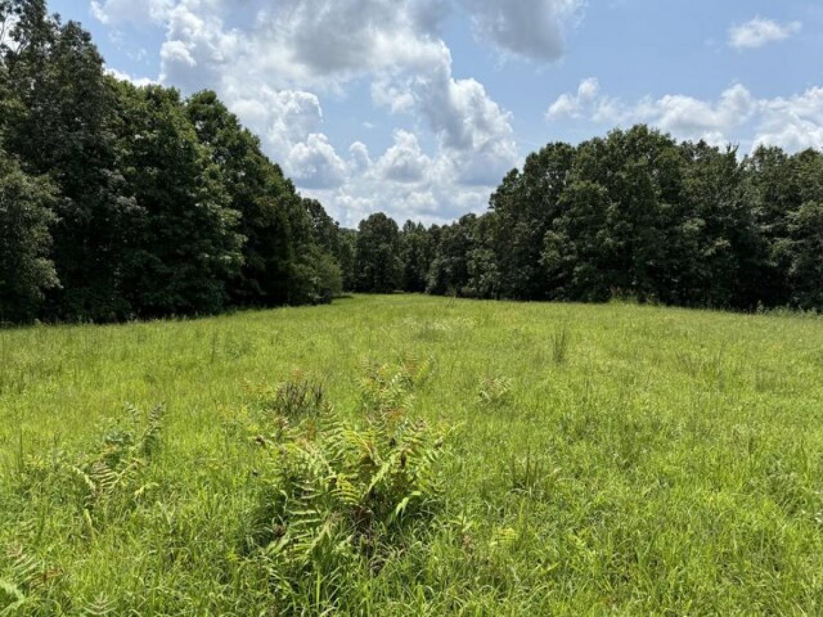 Picture of Residential Land For Sale in Woodlawn, Tennessee, United States