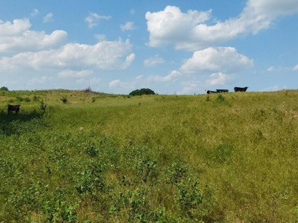 Picture of Residential Land For Sale in Verdigre, Nebraska, United States