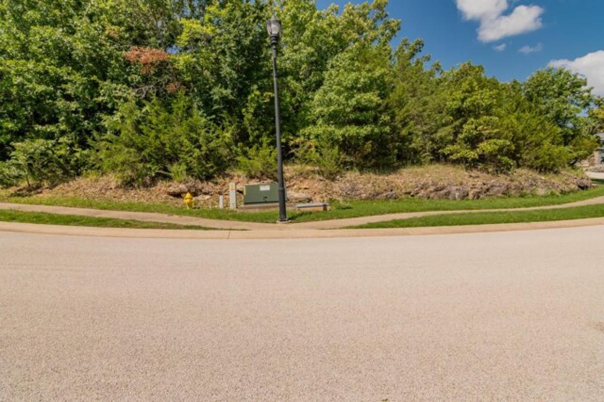 Picture of Residential Land For Sale in Hollister, Missouri, United States