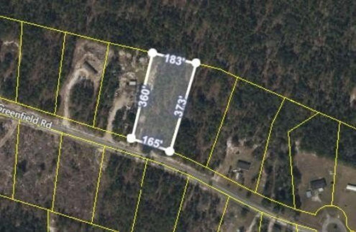 Picture of Residential Land For Sale in Blackshear, Georgia, United States