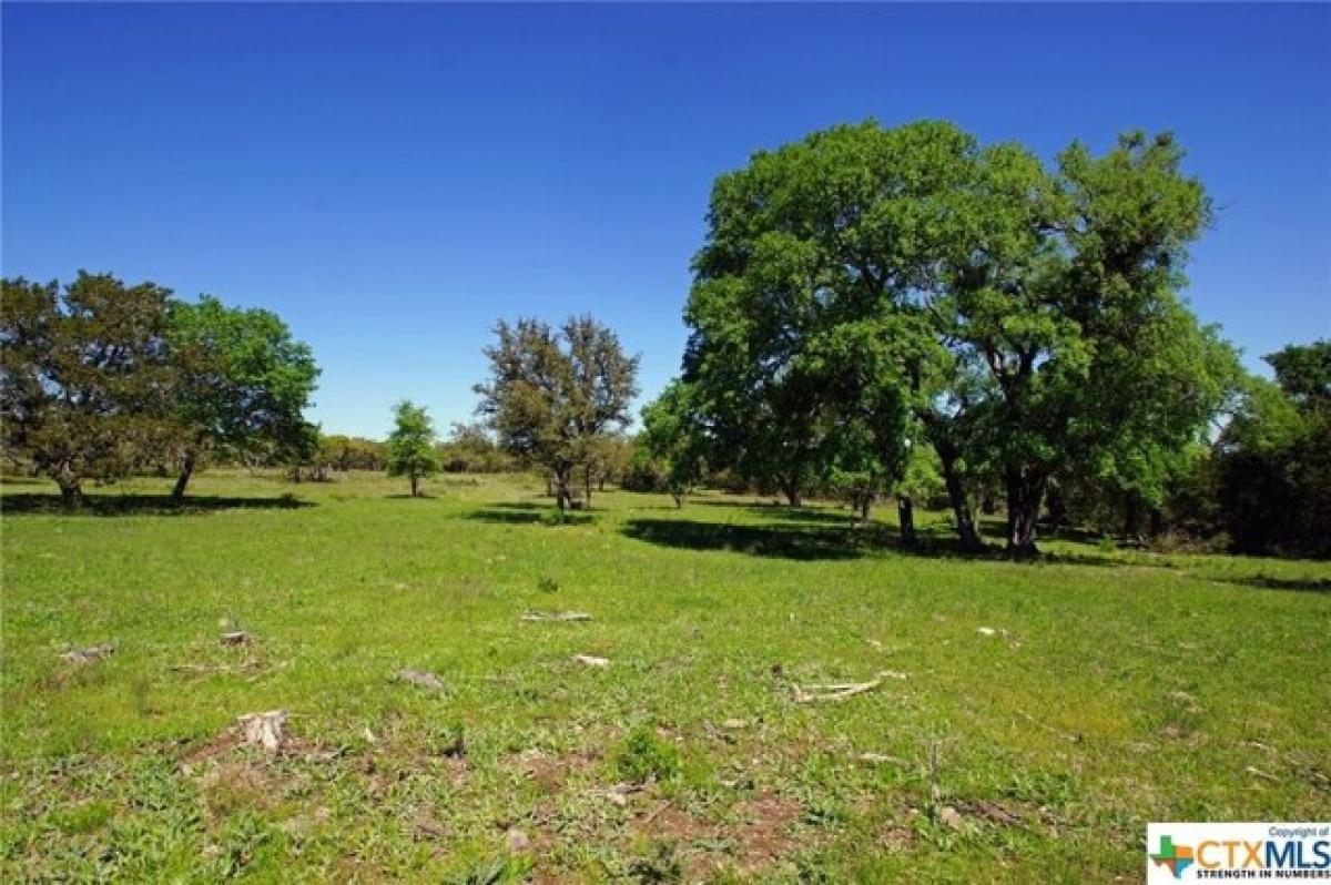 Picture of Residential Land For Sale in Briggs, Texas, United States