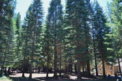 Residential Land For Sale in Chester, California