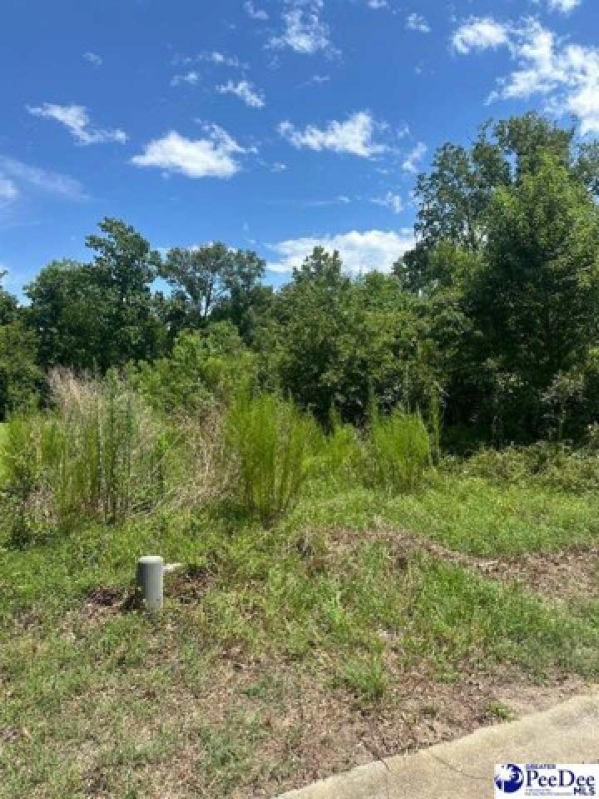 Picture of Residential Land For Sale in Florence, South Carolina, United States