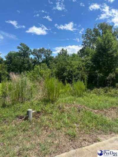 Residential Land For Sale in Florence, South Carolina