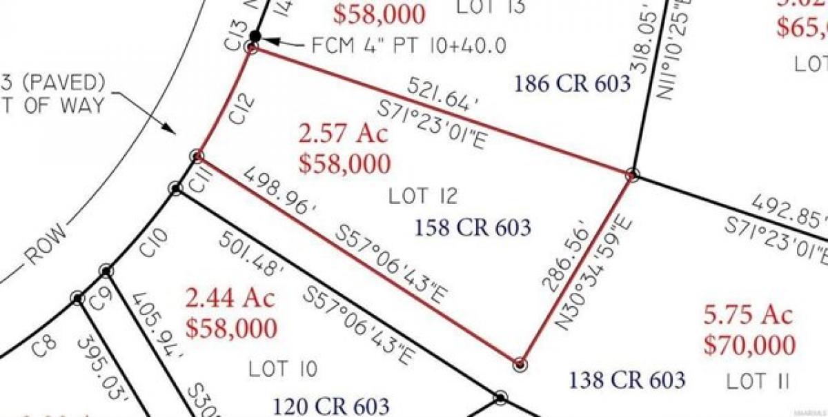 Picture of Residential Land For Sale in New Brockton, Alabama, United States