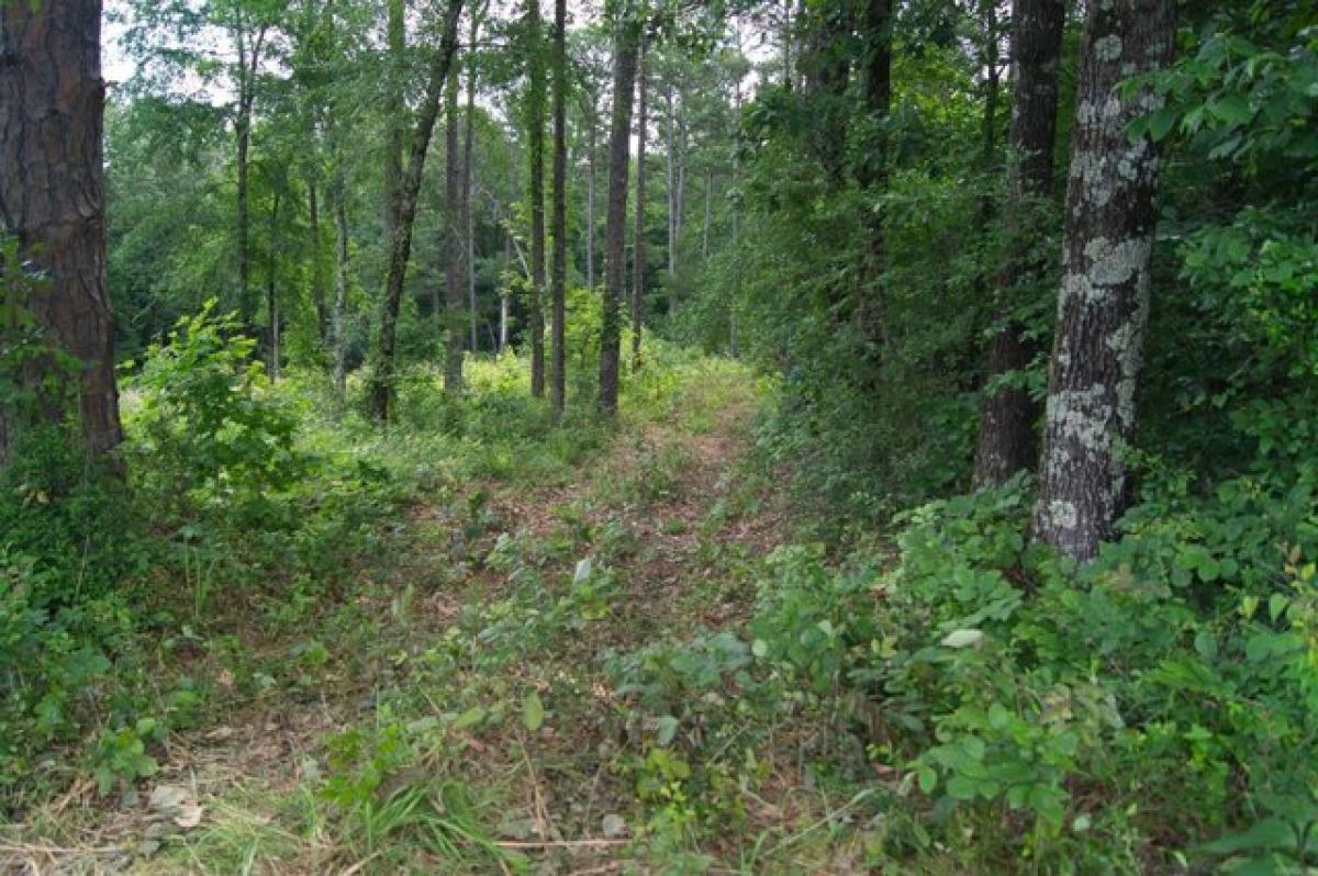 Picture of Residential Land For Sale in Paragould, Arkansas, United States