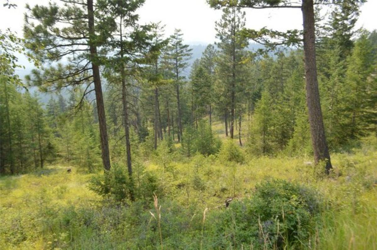 Picture of Residential Land For Sale in Lakeside, Montana, United States